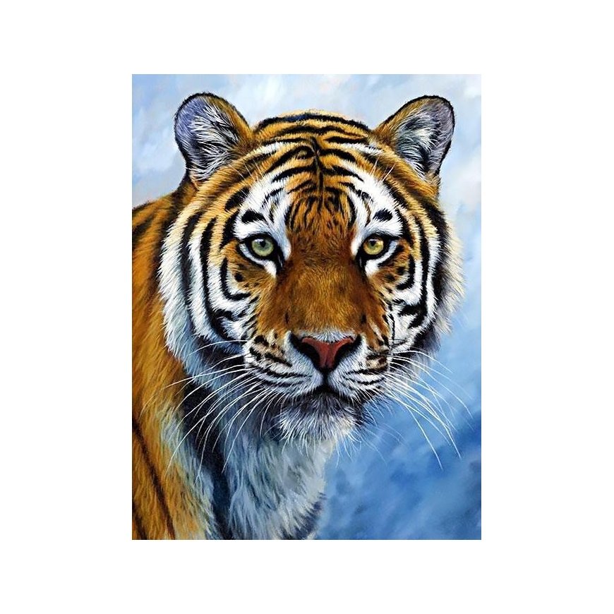 Beldizart Tiger 30x40 cm WD309