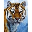Beldizart Tigras 30х 40 cm WD309 Beldizart Tigras 30х 40 cm WD309