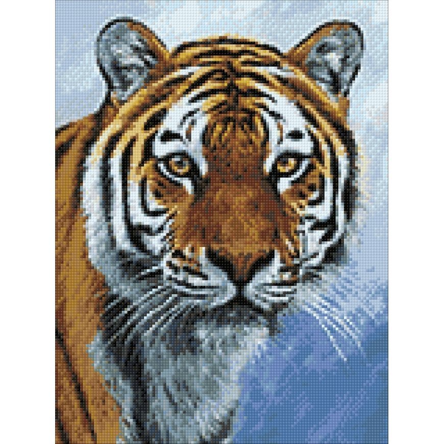 Beldizart Tiger 30x40 cm WD309 – 3