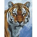 Beldizart Tigras 30х 40 cm WD309 Beldizart Tigras 30х 40 cm WD309