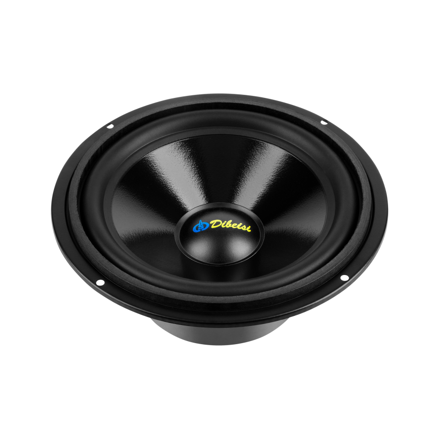 Dibeisi 8" DBS-C8004 8 ohm speaker