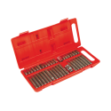 Top Tools Spline, Torx, šešiakampiai atsuktuvo antgaliai, rinkinyje 40 vnt
