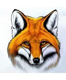 Beldizart Red Fox 20*20 cm WD2375