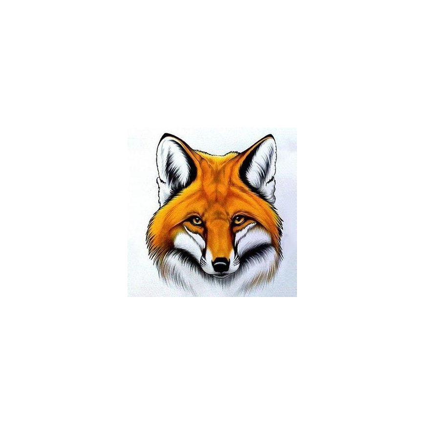 Beldizart Raudona Fox 20*20 cm WD2375