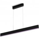 Philips Hue Ensis black 2x39W 24V