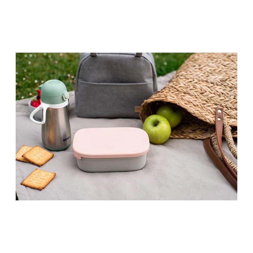 BEABA METALINĖ REGULIUOJAMŲ SKYRIŲ PIETŲ DĖŽUTĖ, DUSTY ROSE – 10