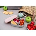 BEABA METAL LUNCH BOX WITH ADJUSTABLE COMPARTMENTS, DUSTY ROSE