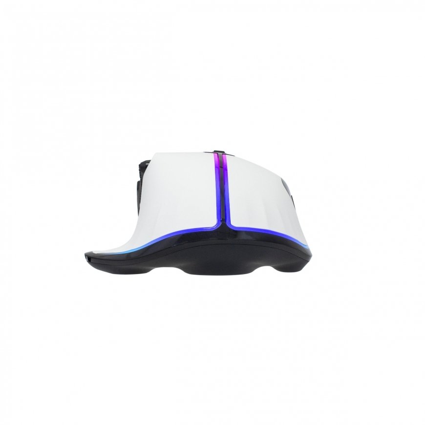 White Shark White Shark Mouse white shark morocco (GAMYWHI00015N0) – 5