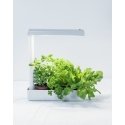 Airam Herby plant lamp, 10W/840, 650 lm, white