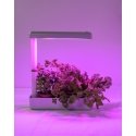 Airam Herby plant lamp, 10W/840, 650 lm, white
