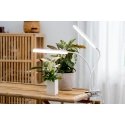 Airam Tulip plant lamp, 16W/840, 780 lm, white