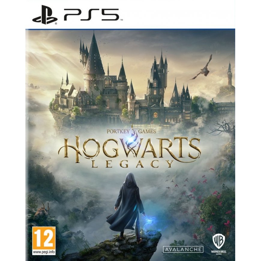 PS5 Hogwarts Legacy 5051895415535 – 3