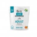 BRIT Care Dog Grain-free Adult Small & Medium Salmon - koera kuivtoit - 1 kg BRIT Care Dog Grain-free Adult Small & Medium Salmon - koera kuivtoit - 1 kg
