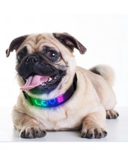 Doggy Village Programmable/interactive collar with color LED display for medium and large dogs