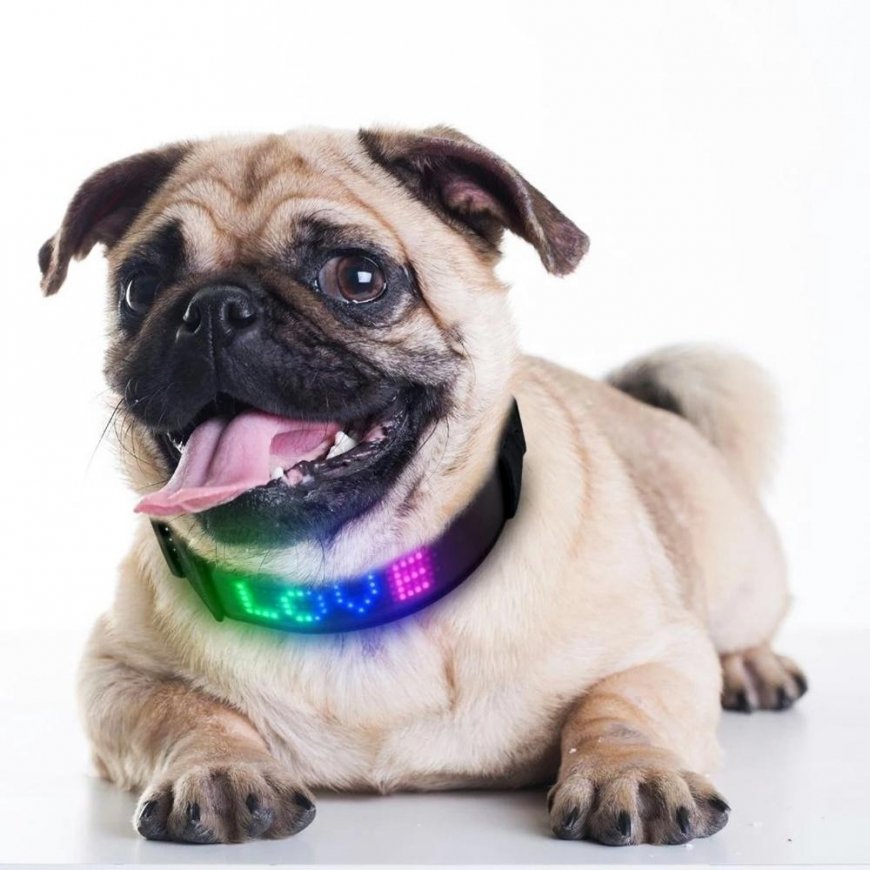 DOGGY VILLAGE Doggy Village Programmable/interactive collar