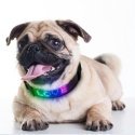 Doggy Village Programmable/interactive collar with color LED display for medium and large dogs Doggy Village Programmable/interactive collar with color LED display for medium and large dogs