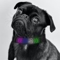 Doggy Village Programmable/interactive collar with color LED display for medium and large dogs Doggy Village Programmable/interactive collar with color LED display for medium and large dogs