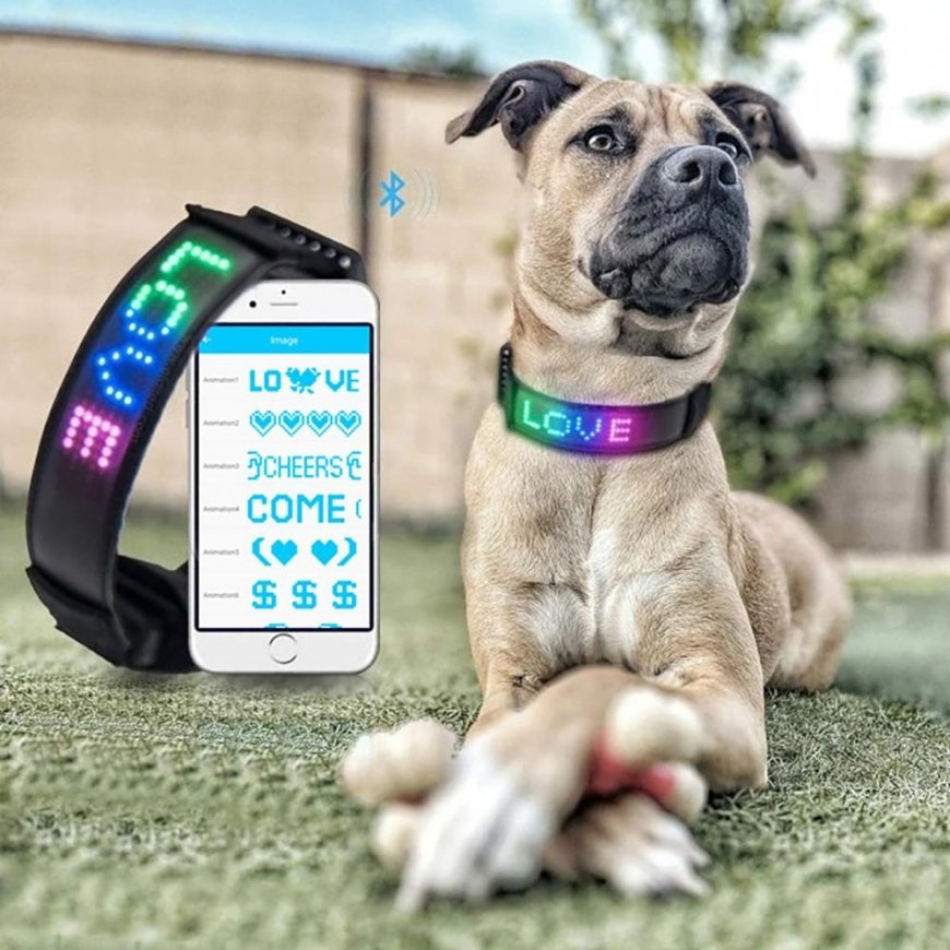 Doggy Village Programmable/interactive collar with color LED display for medium and large dogs – 6