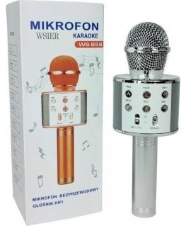 & K Toy microphone JYWK369-2 silver
