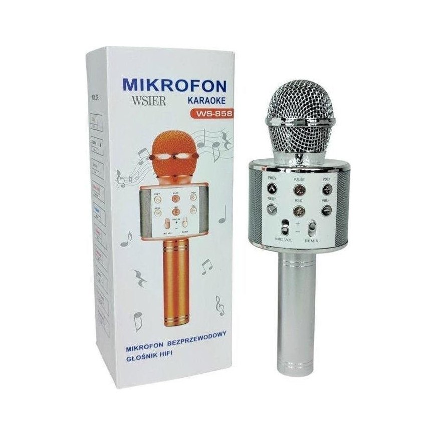 W&K & K Toy microphone JYWK369-2