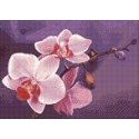 Beldizart Diamond mosaic set WD038 Beldizart Diamond mosaic set WD038