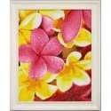 Beldizart SALE Diamond mosaic set WD016 Beldizart SALE Diamond mosaic set WD016