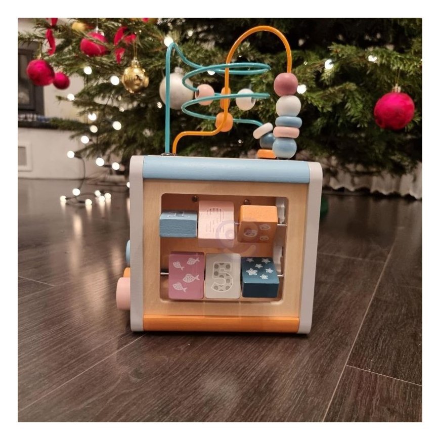 Viga Toys Medinis lavinamasis veiklos kubas PolarB Viga – 7