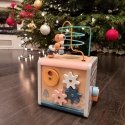 Viga Toys Wooden educational activity cube PolarB Viga Viga Toys Wooden educational activity cube PolarB Viga