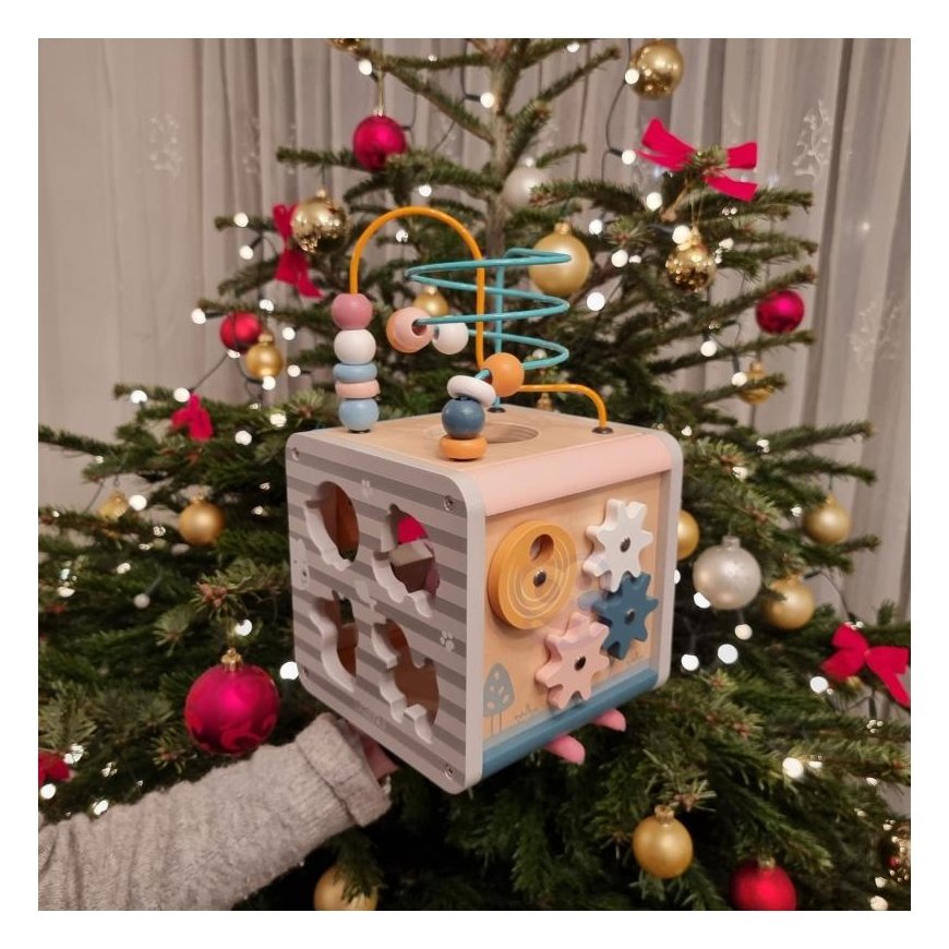 Viga Toys Medinis lavinamasis veiklos kubas PolarB Viga – 10