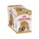 ROYAL CANIN Shih Tzu Adult Märgtoit koerale Pasteet 12x85 g