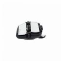 White Shark MARROK White компьютерная мышь Для правой руки USB тип-A Оптический 12000 DPI White Shark MARROK White компьютерная мышь Для правой руки USB тип-A Оптический 12000 DPI