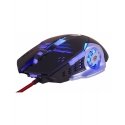 Forme WT-193 Gaming Forme WT-193 Gaming