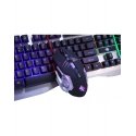 Forme WT-193 Gaming Forme WT-193 Gaming