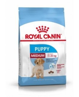 Royal Canin SHN Medium Junior dzīvnieku barība (4 kg)