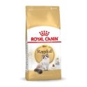„Royal Canin FBN Ragdoll“ (2 kg)