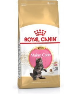 Royal Canin FBN kaķu kaķēns Maine Coon (4 kg)