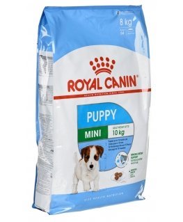 Royal Canin SHN Mini kutsikas (8 kg)