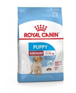 Royal Canini koeratoitu keskmisele noorele (15 kg)