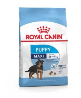 Royal Canin SHN Maxi kucēns (15 kg)