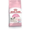 Royal Canin FHN beebikoera toit (0,40 kg) Royal Canin FHN beebikoera toit (0,40 kg)