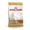Royal Canin SHN BREED LABRADOR JUNIOR (12 kg) Royal Canin SHN BREED LABRADOR JUNIOR (12 kg)