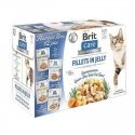 BRIT Care Files in Jelly Flavor Box - mitrā kaķu barība - 12 x 85g BRIT Care Files in Jelly Flavor Box - mitrā kaķu barība - 12 x 85g