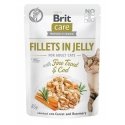 BRIT Care Fillets in Jelly Flavour Box- wet cat food - 12 x 85g BRIT Care Fillets in Jelly Flavour Box- wet cat food - 12 x 85g