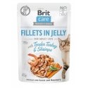 BRIT Care Files in Jelly Flavor Box - mitrā kaķu barība - 12 x 85g BRIT Care Files in Jelly Flavor Box - mitrā kaķu barība - 12 x 85g