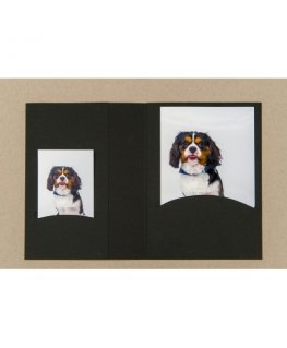 1x100 Daiber Folders with CD archieve, 10x15, black