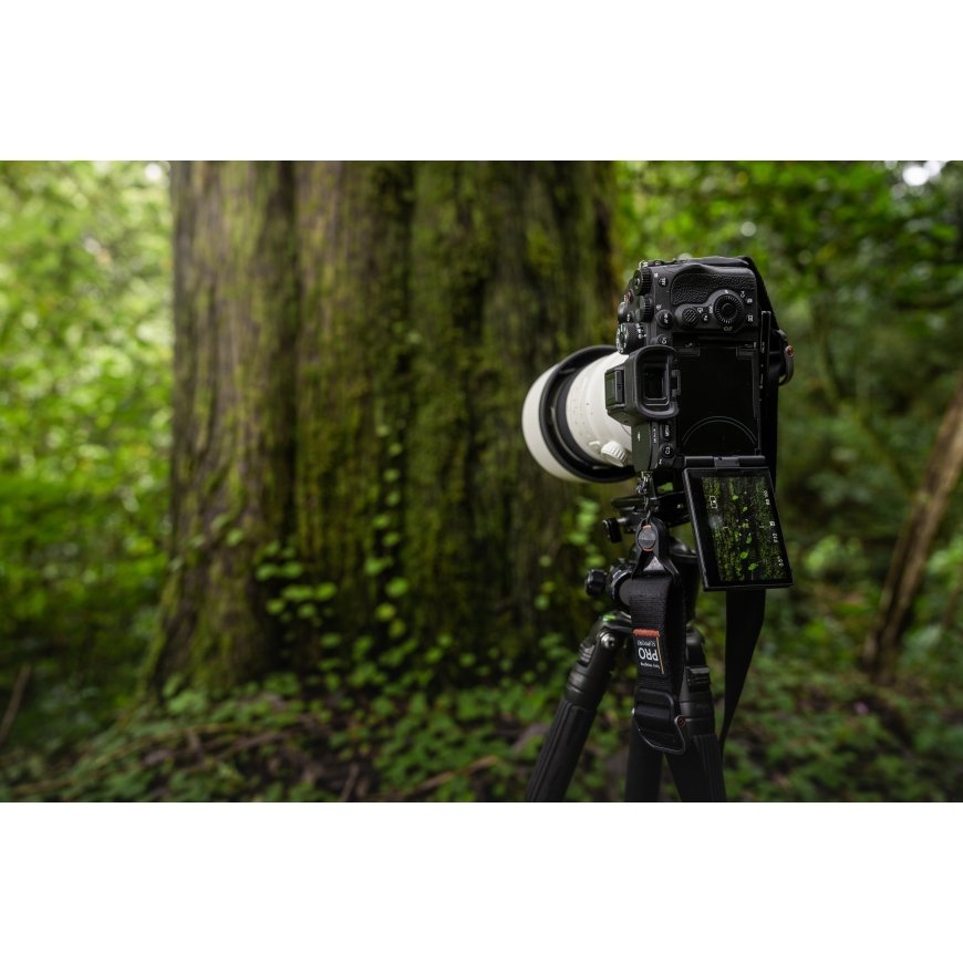 Sony A7R V system camera, body – 8