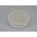 Filter Marumi MC-PO1 (Green) 72 mm