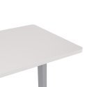 Lauaplaat ERGO 140x70cm, valge