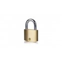 Master Lock Concealed Padlock 30mm 9131EURDCOL