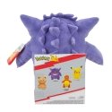 POKEMON Pliušinis Pokemonas, 25 cm, W9